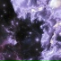CELEBA