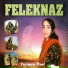 Feleknaz Dilovan