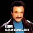 Hassan Shamaizadeh