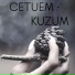 Cetuem
