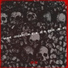 Xae DC feat. N.E.K.O, DEX JR.