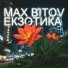 Max Bitov