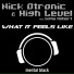 Nick Otronic & High Level feat. Sofia Robert