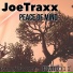 JoeTraxx