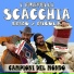 Enzo Scacchia