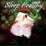 Bedtime Songs Academy, Deep Sleep Music Society