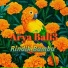 Arya Bali3