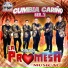 Grupo La Promesa Musical