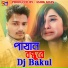 Dj Bakul