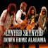 Lynyrd Skynyrd