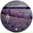 Florian Shipke feat. Leonard Bywa