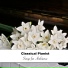 Piano Shades, Piano para Relajarse,