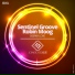 Sentinel Groove, Robin Moog