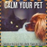 Dog Music, Cat Music, Pet Music Therapy