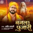 Shashi Anari
