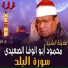 Al Sheikh Mahmoud Abo Al Wafa Al Seidy