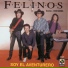Los Felinos