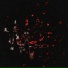 ellicope