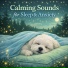 Dog Sleep Lab