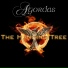 Agordas