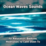 Sea Sounds, Ocean Sounds, Nature Sounds