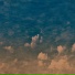 Aircraft
