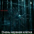 Крик Совы