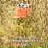 Nico Kirff, Rain Sounds, Nature Sounds