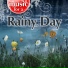 Weather Delight