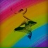 Caique Figueiredo, DropɅllien