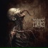 Shores Of Lunacy