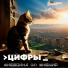 ЦИФРЫ