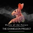 The Chameleon Project