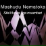 Mashudu Nematoka