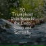 Ambient Forest, Massage Music, Rain and Nature
