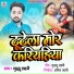 Guddu Lahari
