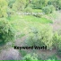Keyword World