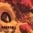 Hudron