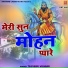 Tejveer Vidhudi