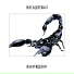 REAPER65, kapiordior