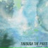 fnonose, Yles