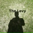The Levy