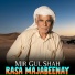 Mir Gul Shah