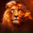 Kion