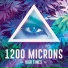 1200 Microns