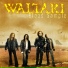 Waltari 2005 Blood Sample