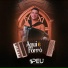 Peu do Acordeon