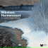 Nikolaus Harnoncourt feat. Arnold Schoenberg Chor