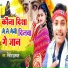 Nitish Halchal