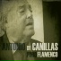 Antonio de Canillas